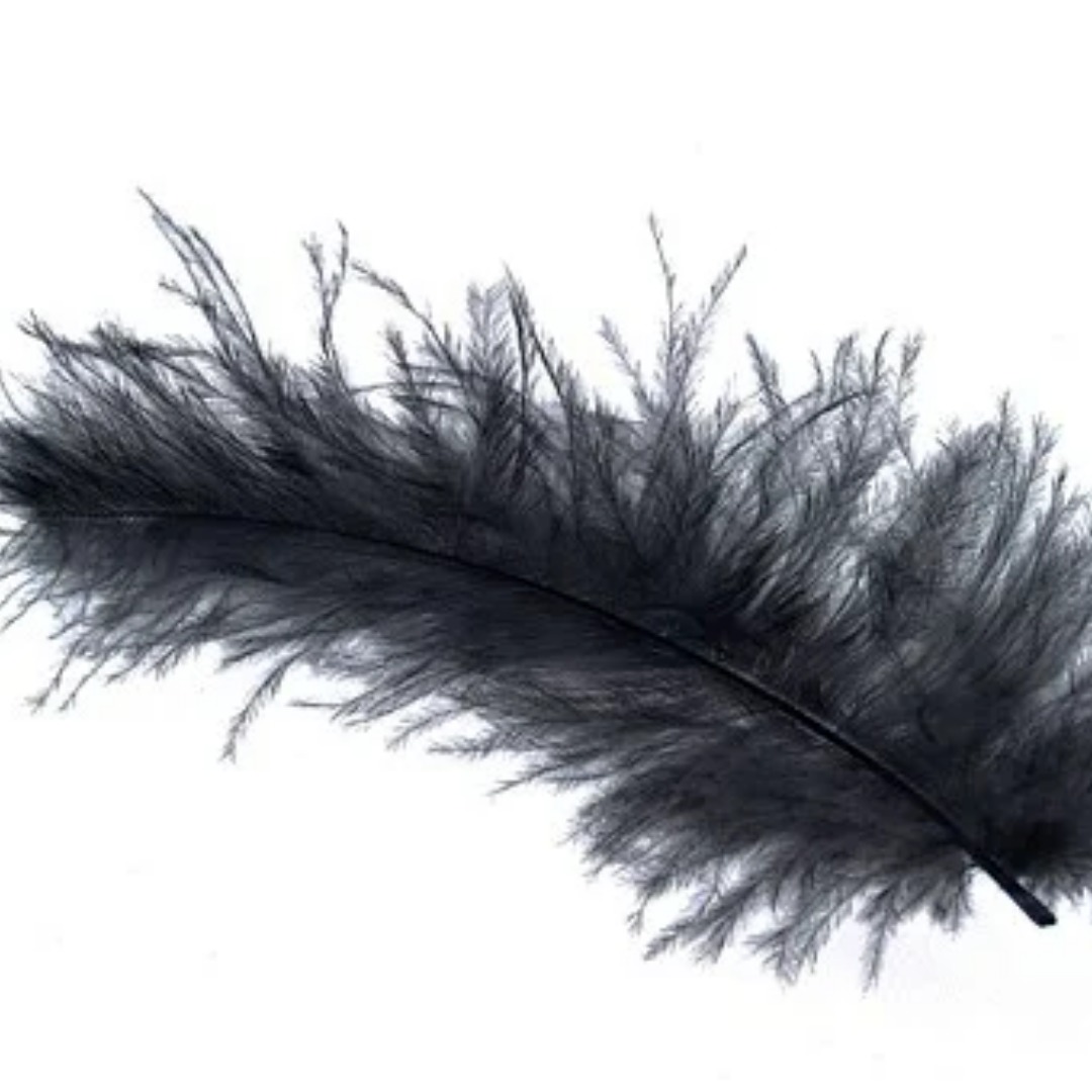 Symbolique des plumes le message des guides et des anges Ondes de Lumière