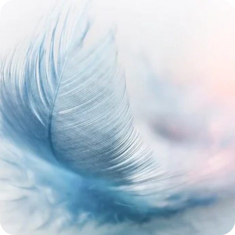 Symbolique Des Plumes - Le Message Des Guides Et Des Anges - Ondes De ...