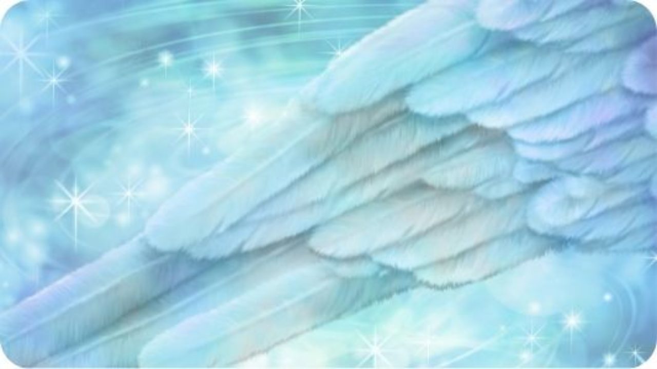 Symbolique Des Plumes Le Message Des Guides Et Des Anges Ondes De Lumiere Symbolique Des Plumes Le Message Des Guides Et Des Anges Ondes De Lumiere