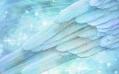 Symbolique des plumes – le message des guides et des anges