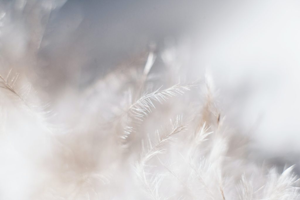 symbolique plumes message anges